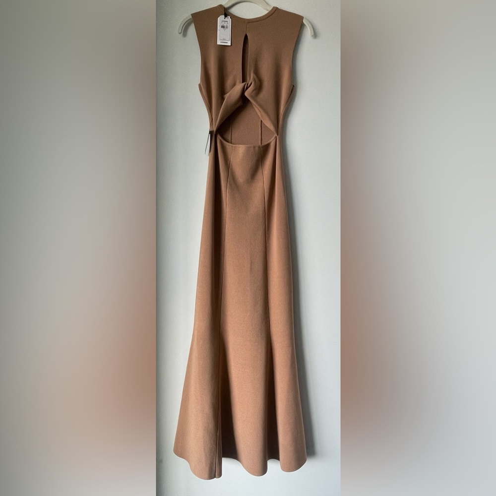 Express Tan Maxi Dress - Picture 2 of 4